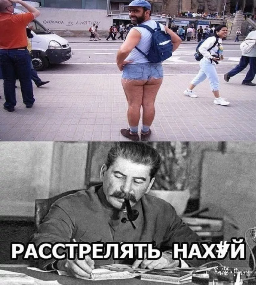 5dbc529639cdc7ed418.webp