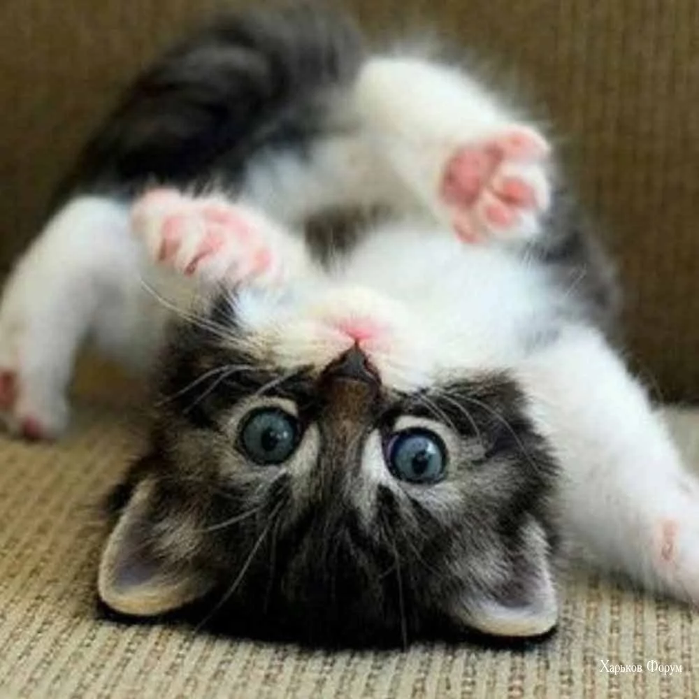 5dbe3e39d9f59a593.webp