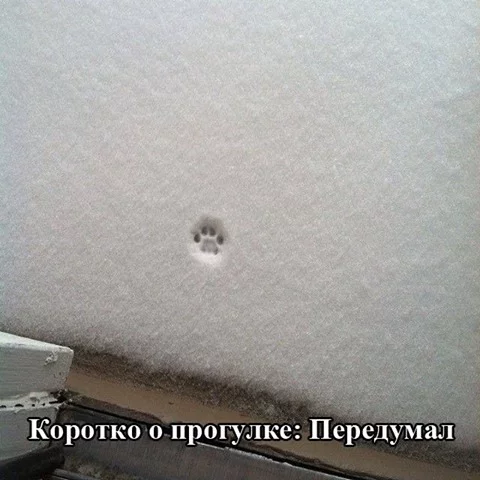 5dbfbg.webp