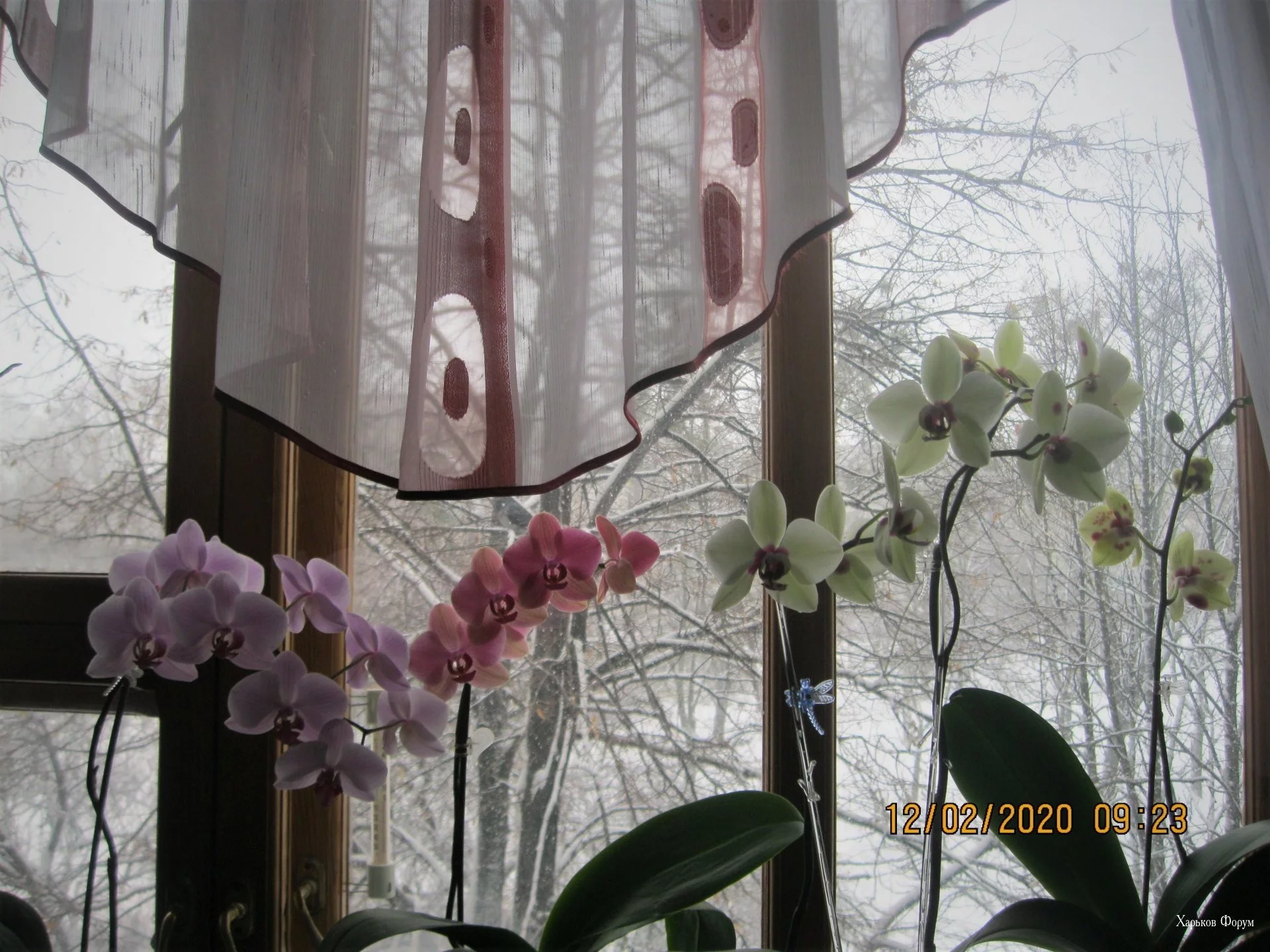 5dc625089080188c4.webp