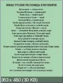 5dc8462684beaff52b8fe5f90b12b4df.webp