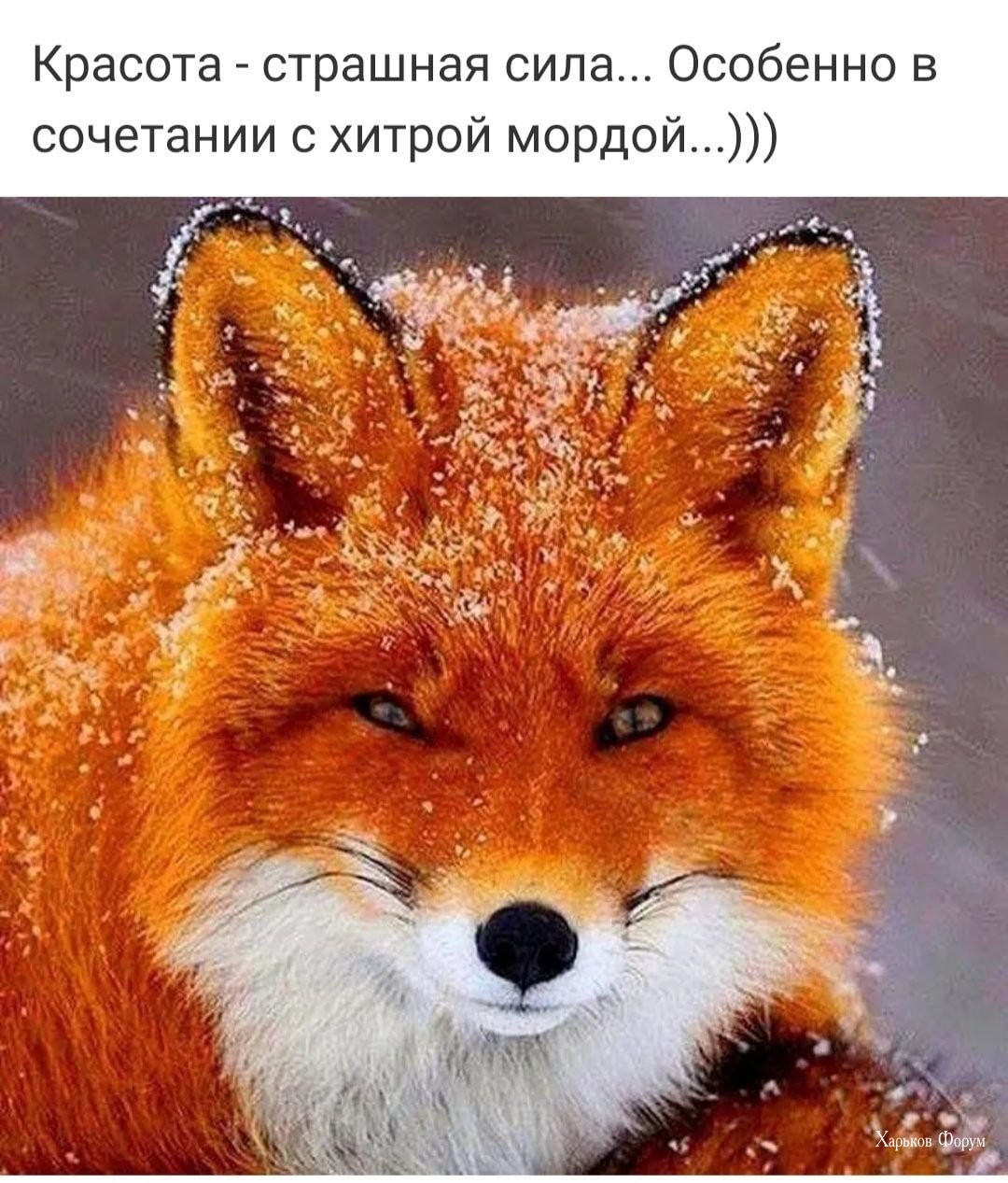 5dd4b4a20df1c84c2f48bc2.jpg