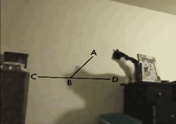5ddc580dfcec00405afb23cb05450eda.gif