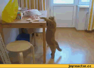 5de2de3fa07fcb04a203.gif