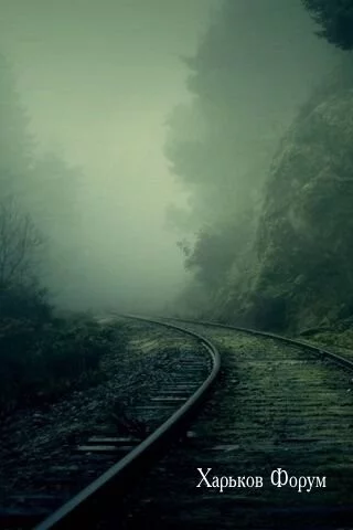 5debd8c702675d19efc.webp