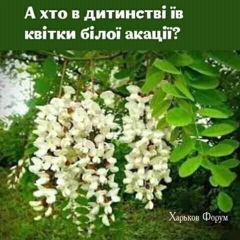 5ded56d0be84f62b8d.webp