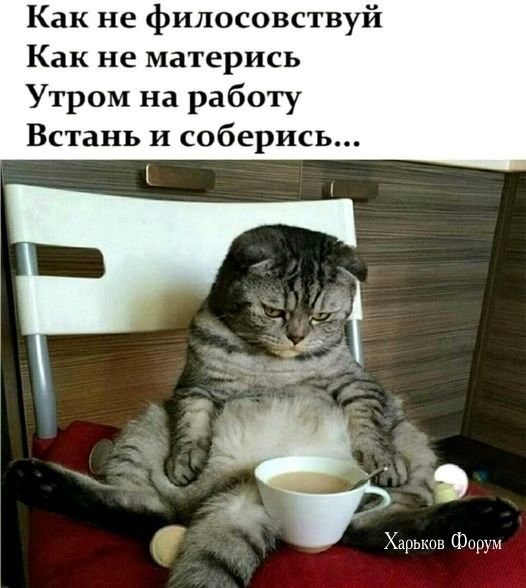 5defad5c88c2de1c5a0.jpg