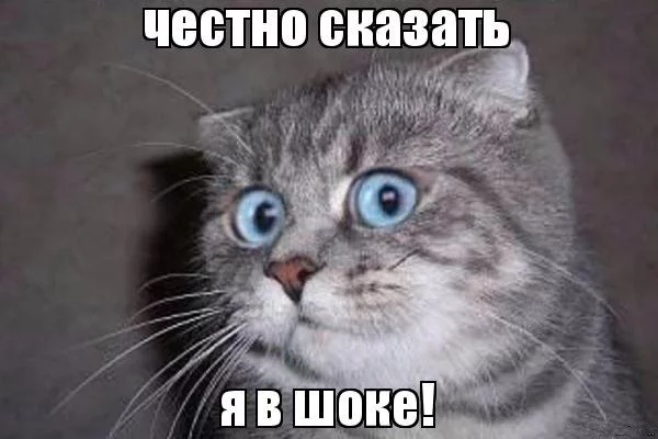 5djhbb.webp