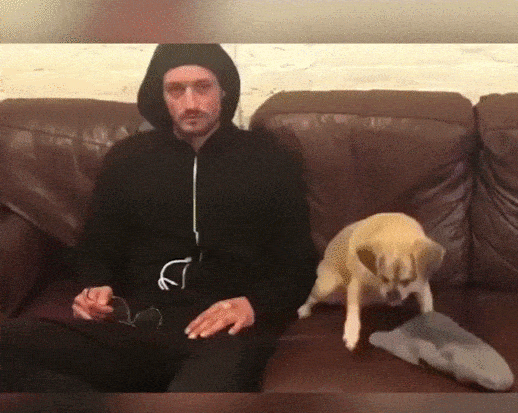 5e0339f2edde5237f0.gif