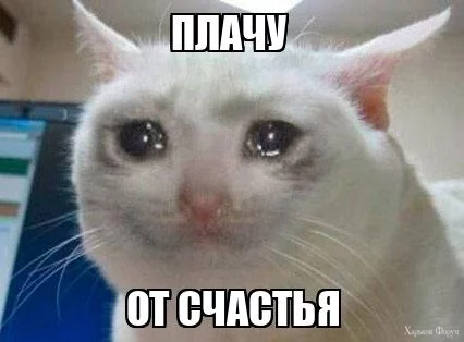 5e078f26b1c7e301670af954.webp