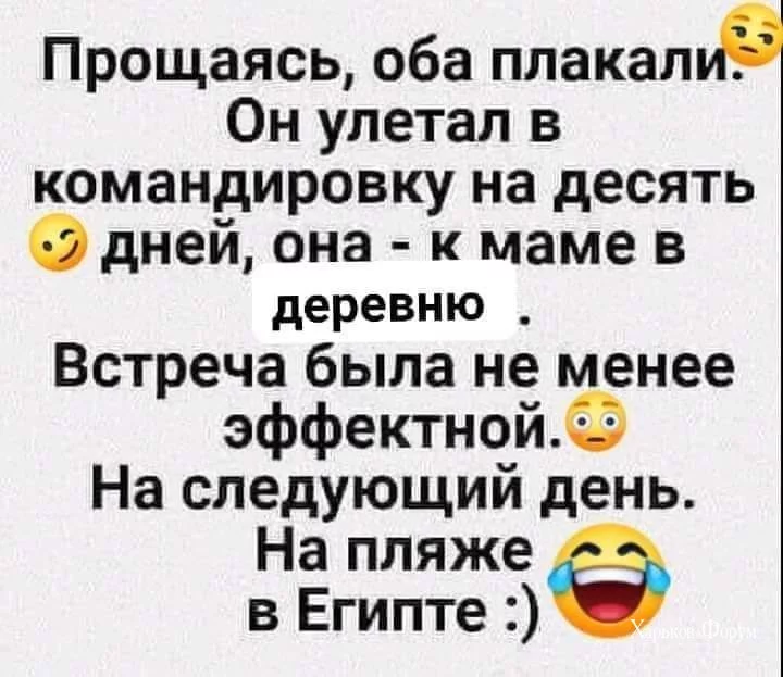 5e0ac0b526e0a88a.webp