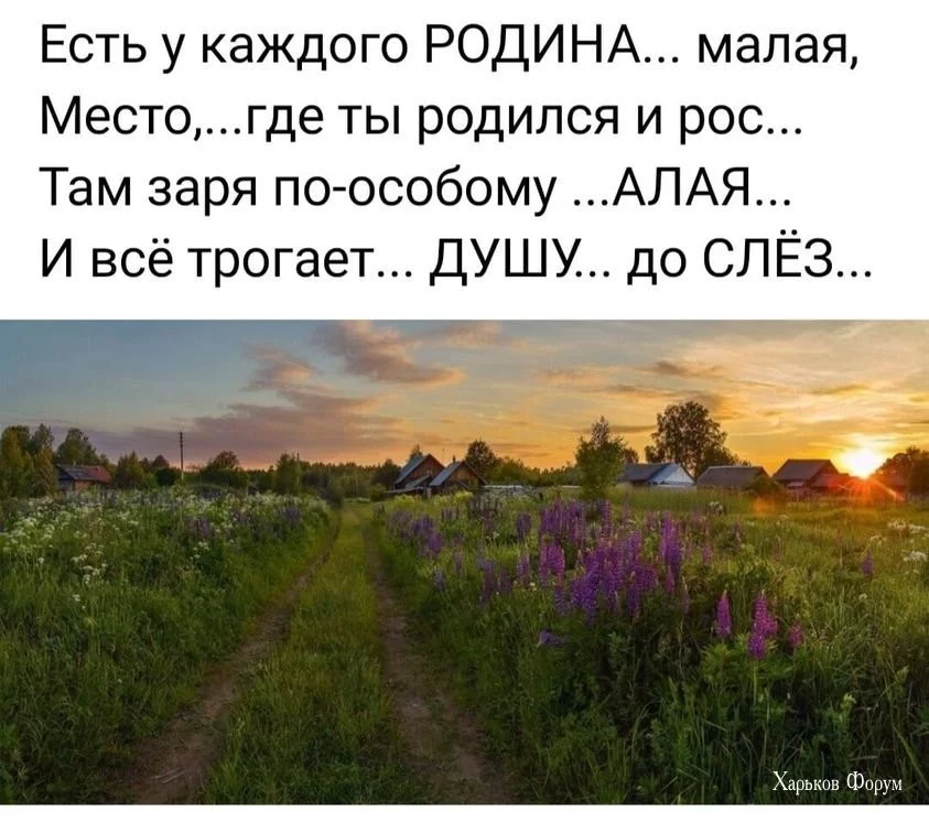 5e1642aaf9c12a9356134032.webp