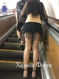 5e1d1057bd37ba326a750073.webp