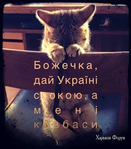 5e2a12a56220b595f79d32.webp