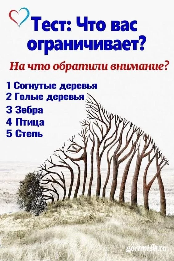 5e2b74790537b974fe2.webp