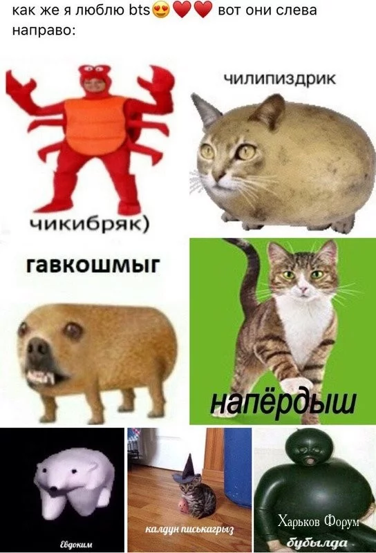 5e329a89cc2c2f1bbb400f5.webp