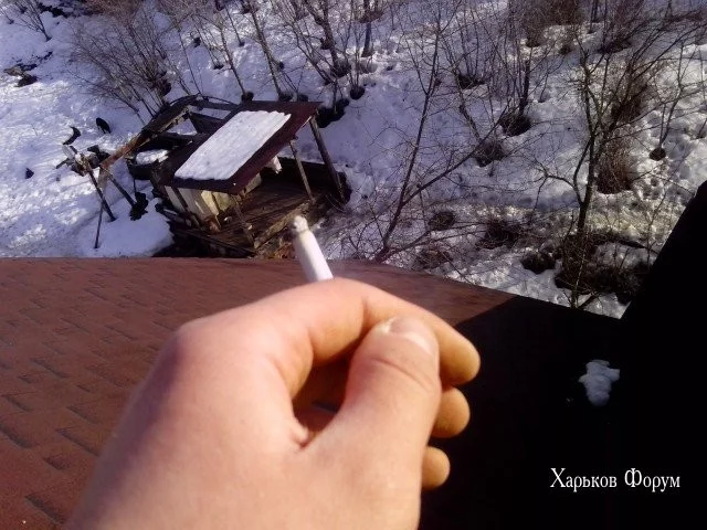 5e39b15cb2edcac02313f2ac.webp