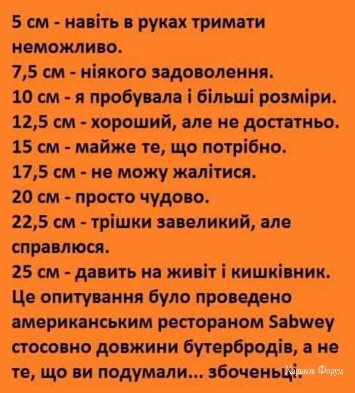 5e4681fd2fe6db3f.webp