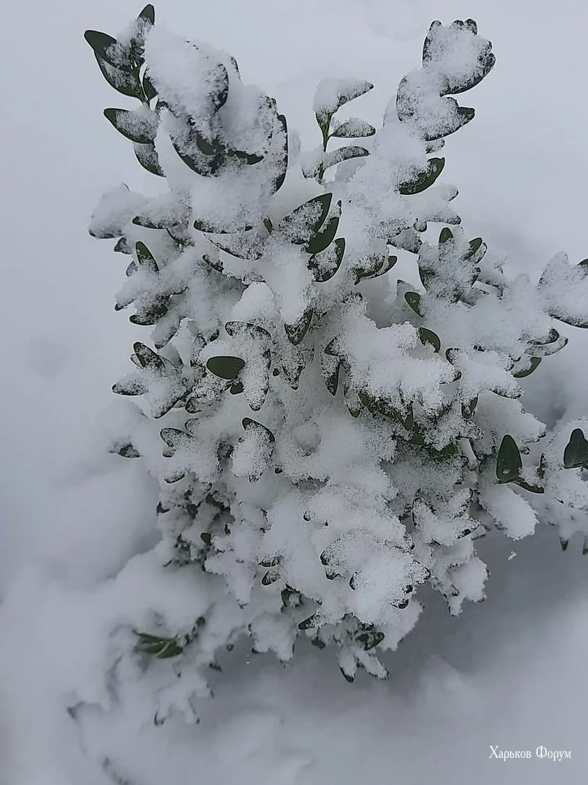 5e4bcdfa24c656ae16a.webp