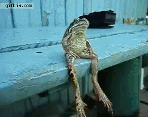 5e651debd7d8467b87cba35b57dc3650.gif