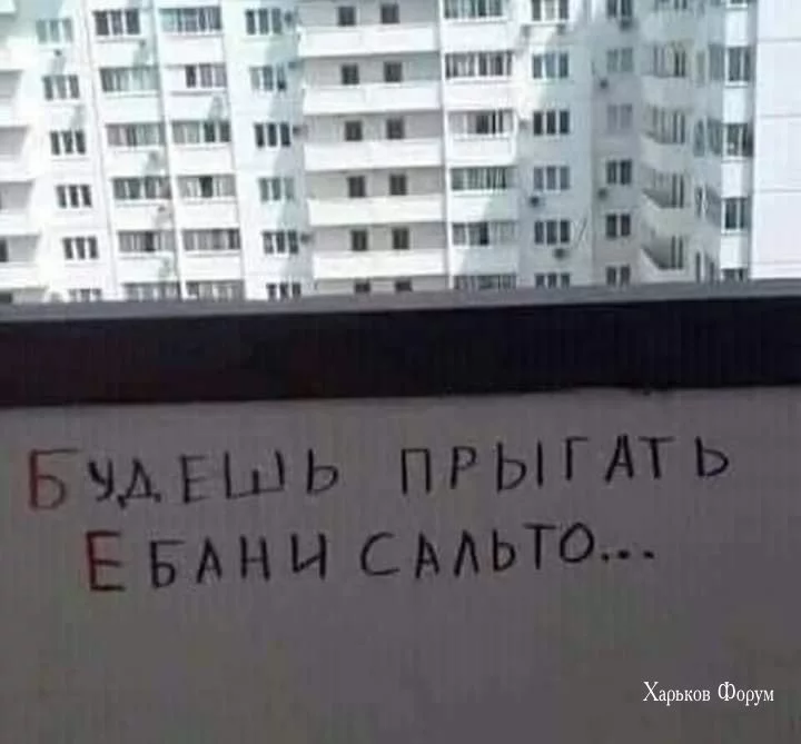 5e83bea0869a15f2a94.webp