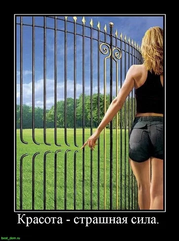 5e84a2fd94107ff483f6cf02cdf303c3.webp