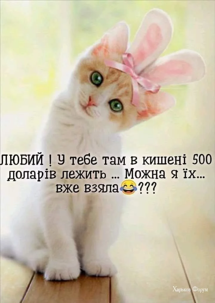 5ea4d7c2de41b97070.webp