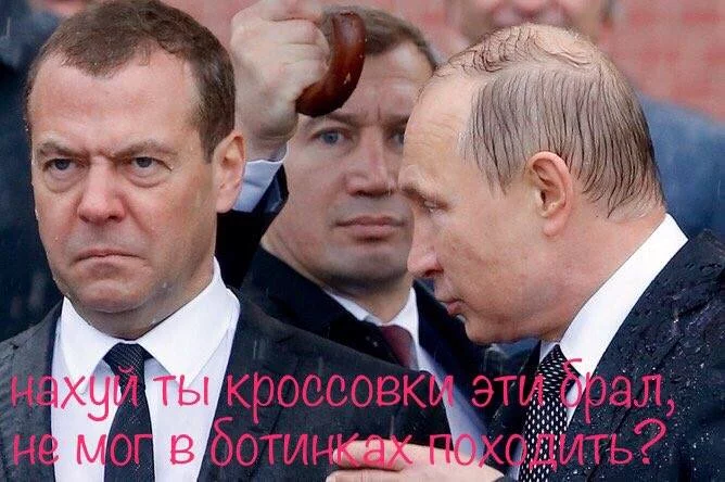 5eafdg.webp