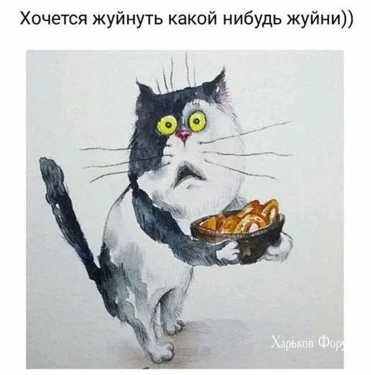 5ec11843d6bb5327d6b62.webp