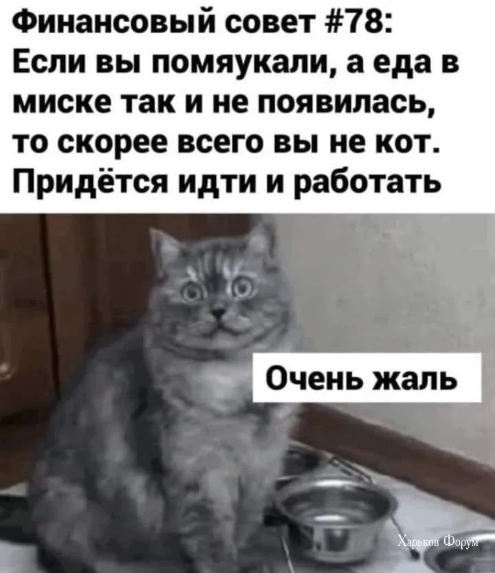 5ec8088bae03593515.webp