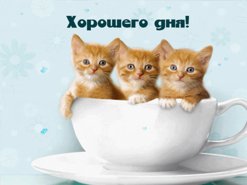 5ed830ed589ce8e55.gif