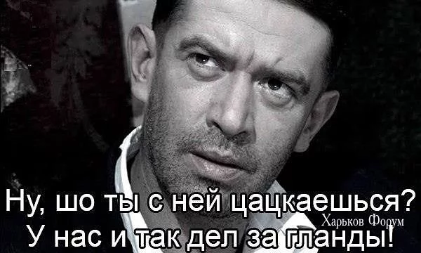 5ee1fc67ae743631b84a.webp