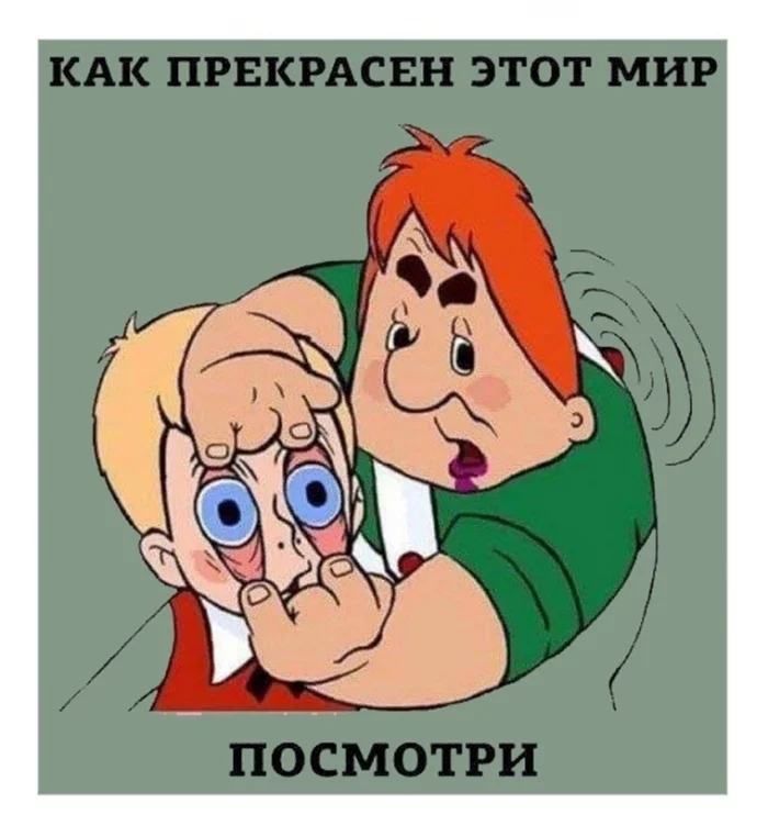 5eedd6d7b8.webp