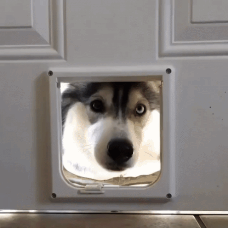 5eehcd.gif