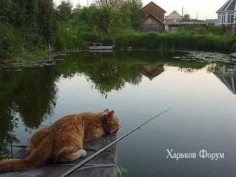 5ef5fed89e581ee3d5f724fe.webp