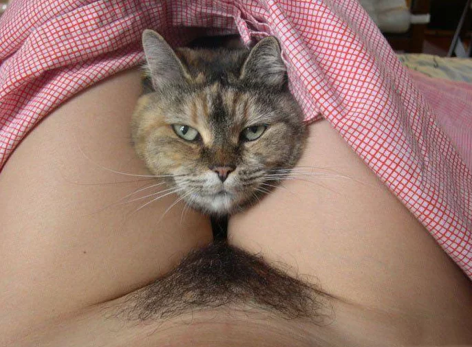 5efced.webp