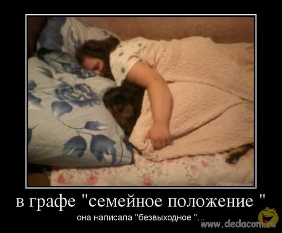 5eghdh.webp