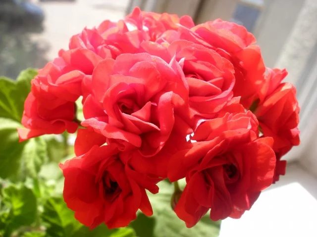 5f07e28480f4164c74b5819acf882c6e.webp