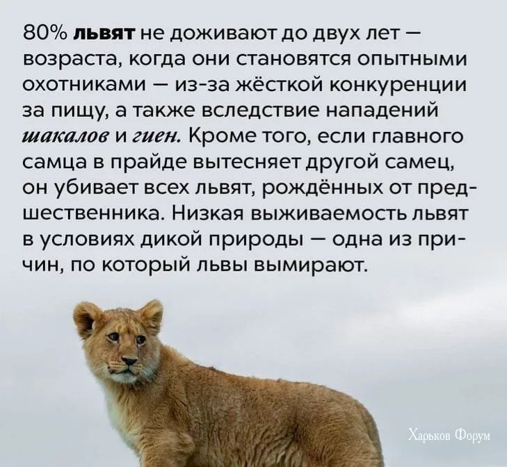 5f16b4bbea9b18bc5b.webp