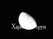 5f1b47c5c18764cbdf54e8.webp