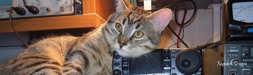 5f24bbbf30f1c2a4072.webp