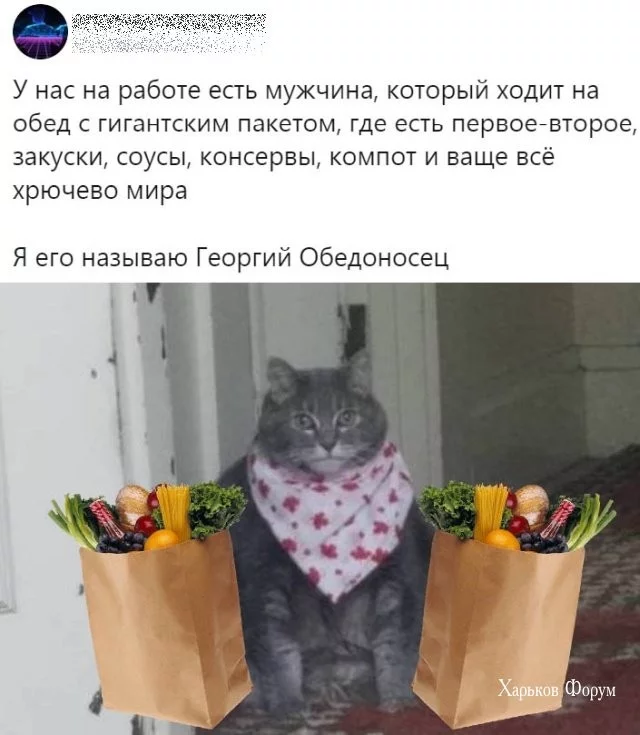 5f28d3da2a080200da05aa.webp