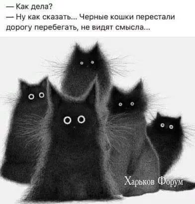 5f429b8c611b2d38.webp