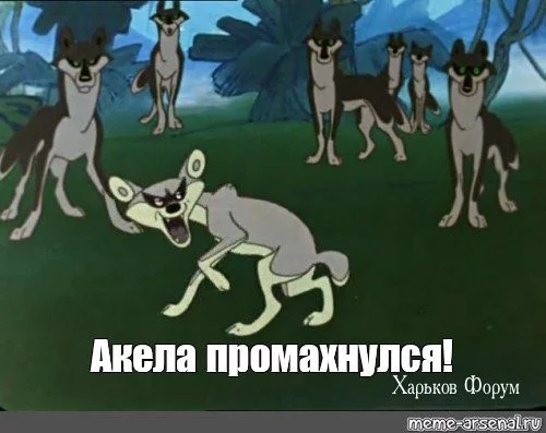 5f540f3faed3982a41f.webp