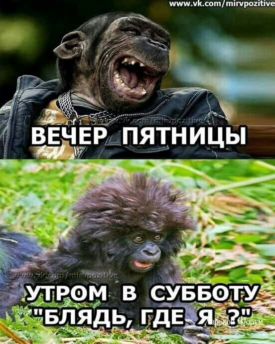 5fad4e5f2abd1f5302c.jpg