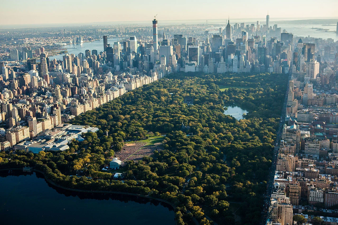 5fbcbf.webp