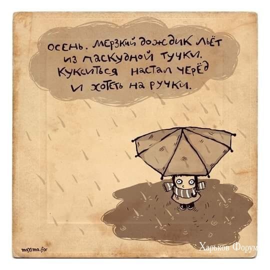 5fc88ee965462d620.jpg