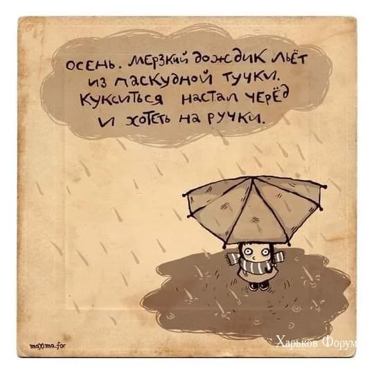 5fc88ee965462d620.webp