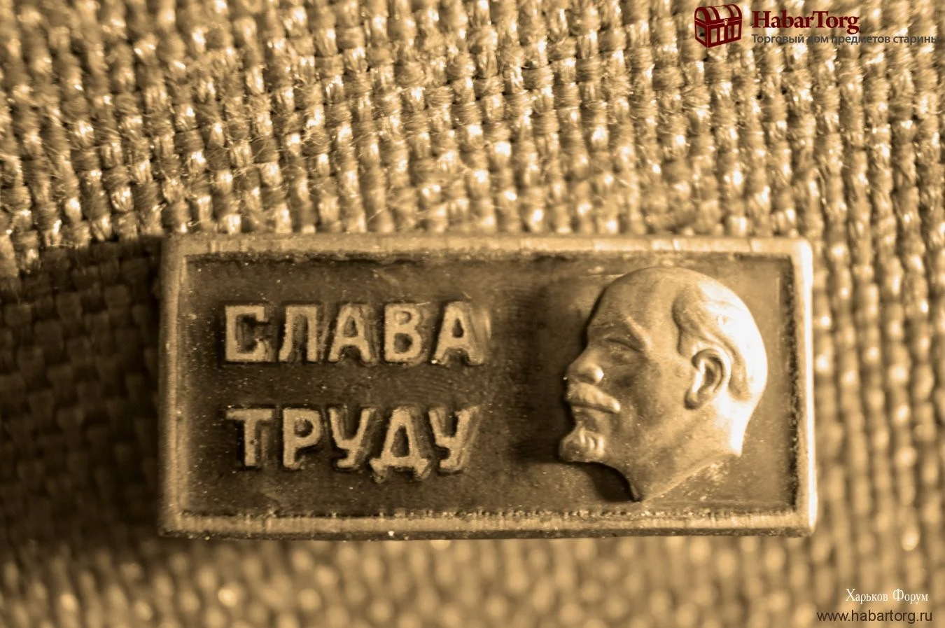 5fc9052808bf3298a65.webp