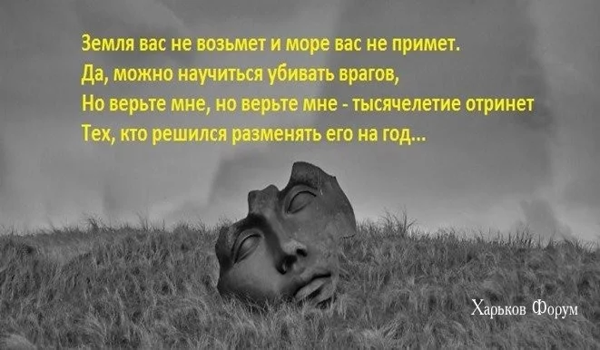 5fd187d23cf75306f1305.webp